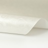 Мечта LW6 303 Мечта LW6 303